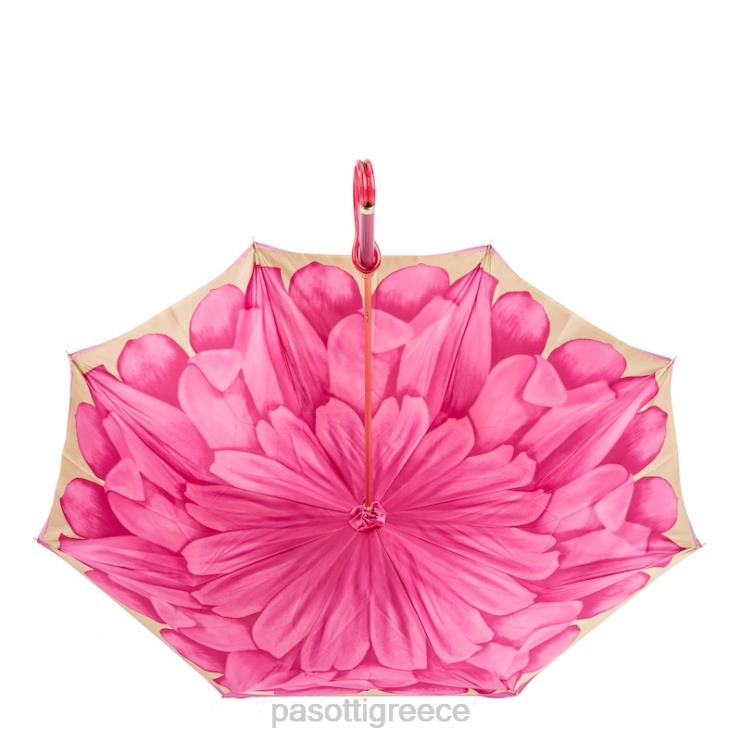 ομπρέλα | PASOTTI 189 21065-30 a - ομπρέλα φούξια ντάλια διπλό πανί 2N6B8377 γυναίκες